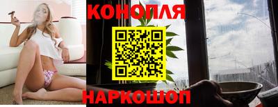 сатива Жуковский