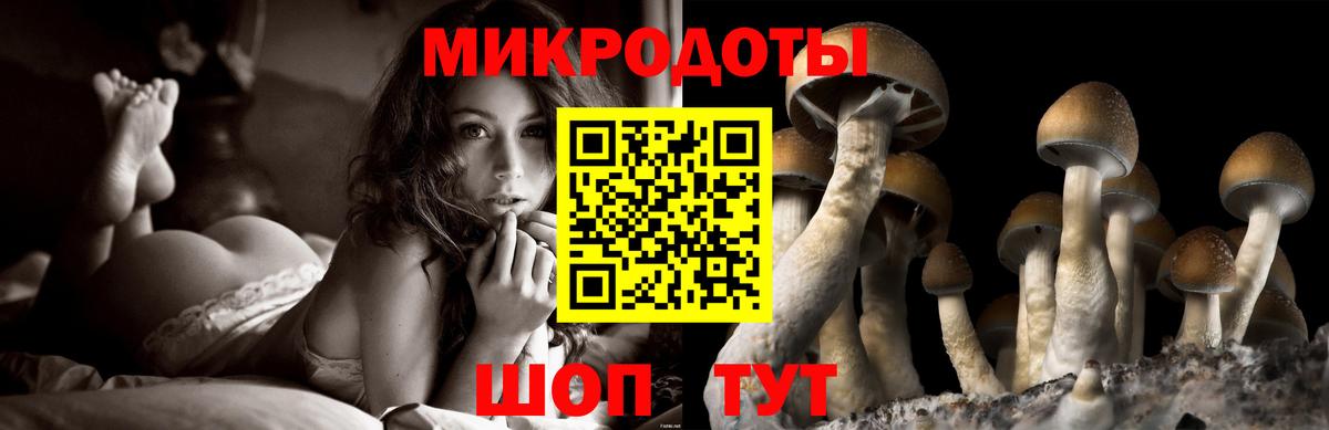 Лянтор  Галлюциногенные грибы Cubensis  Вход с VPN 